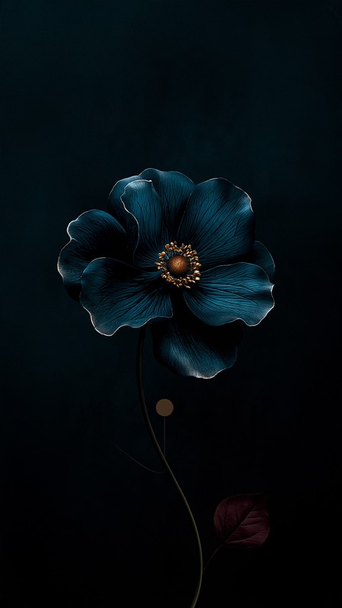 petal, wildflower wallpapers