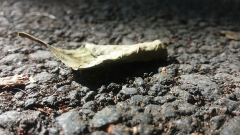 sfondi soil, wallpaper