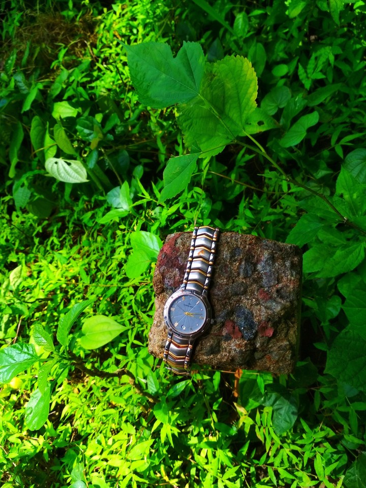 watch