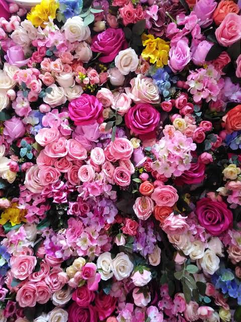 roses003