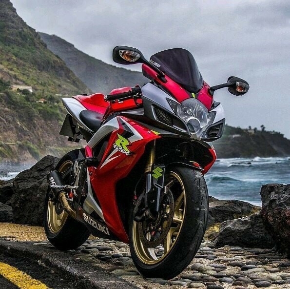 SUZUKI  R 65X