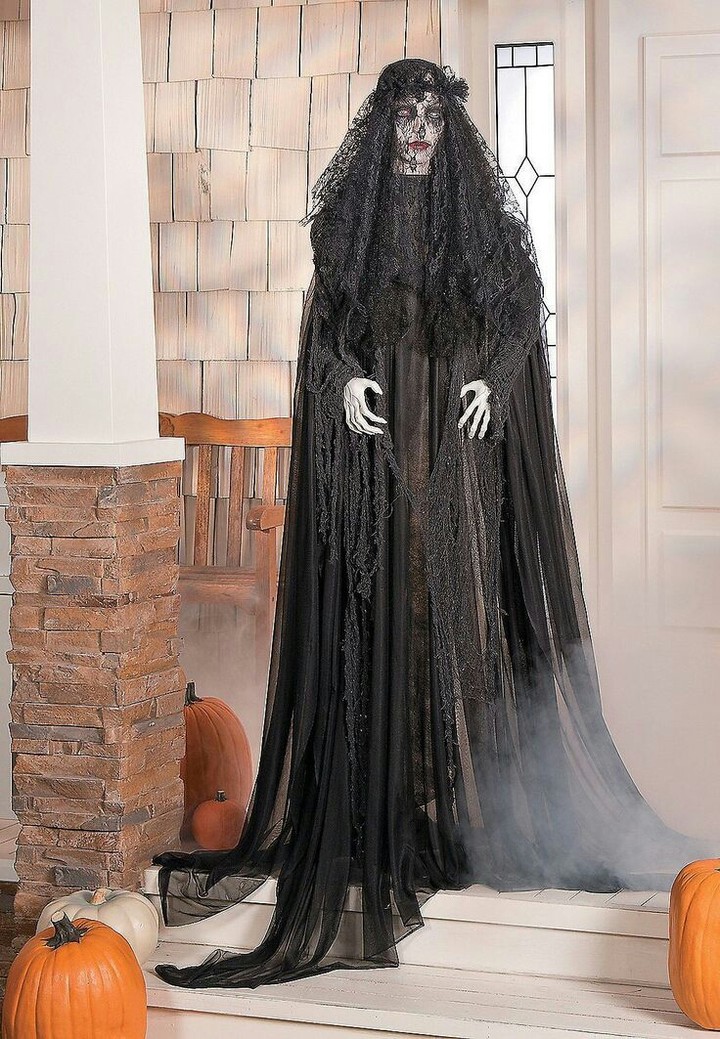 The veiled lady
