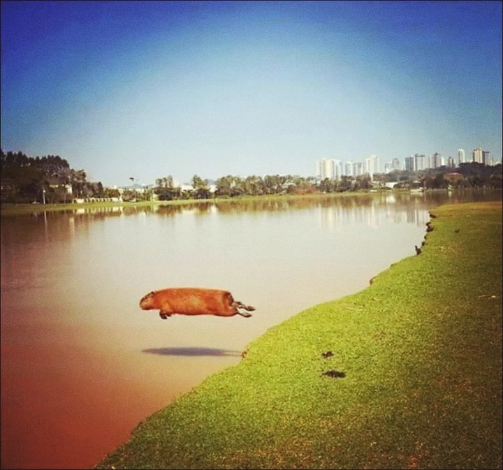 ...