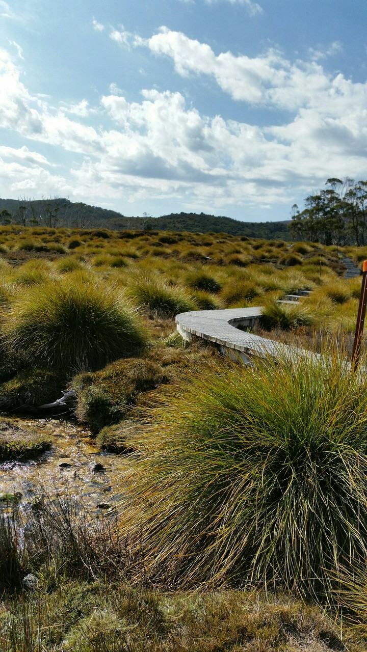 wilderness path