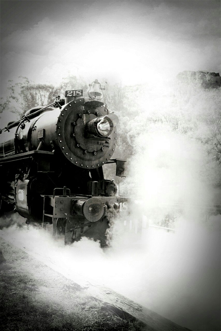 train