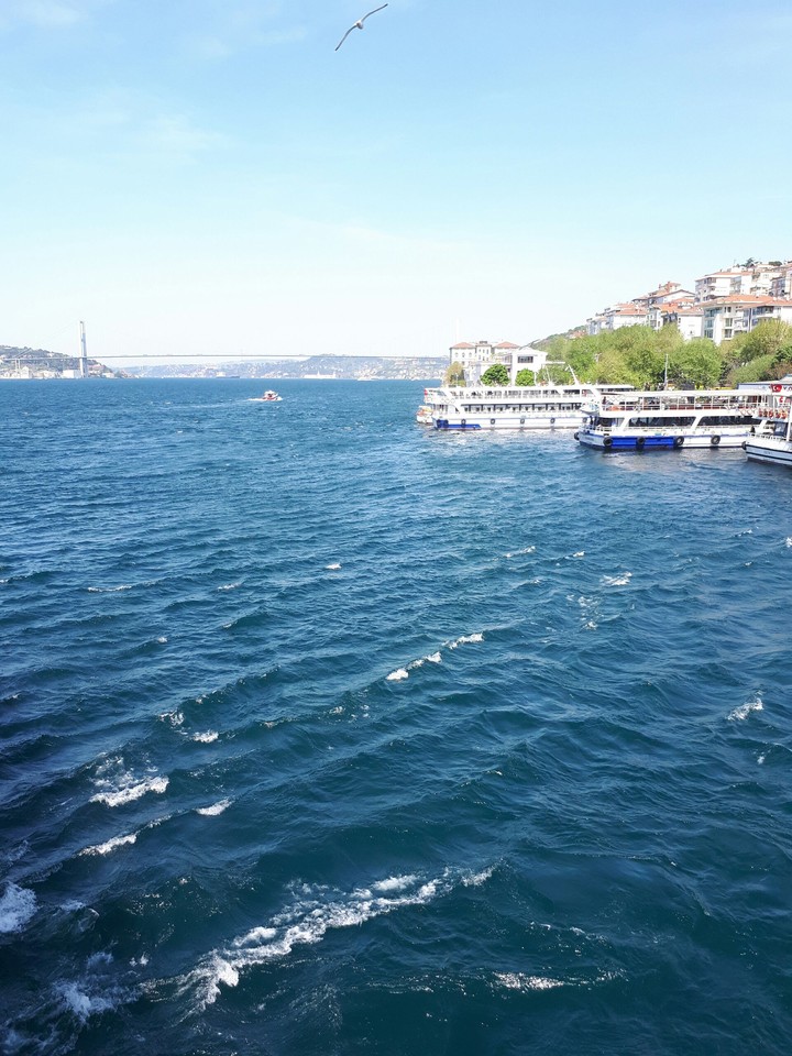 üsküdar sahil yolu yakınları .
