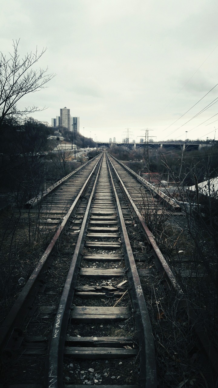 ... Forward