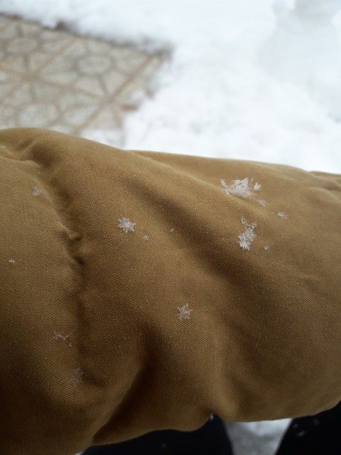 snowday
