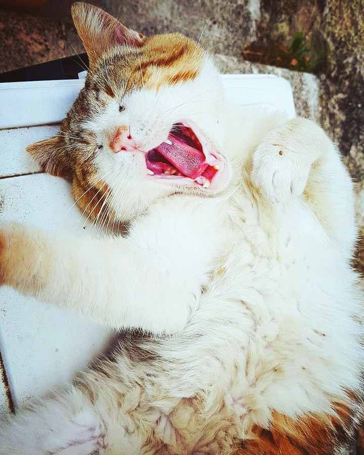 relax
