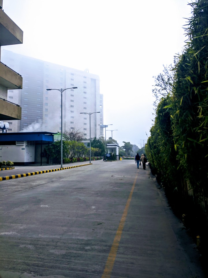 foggy office day