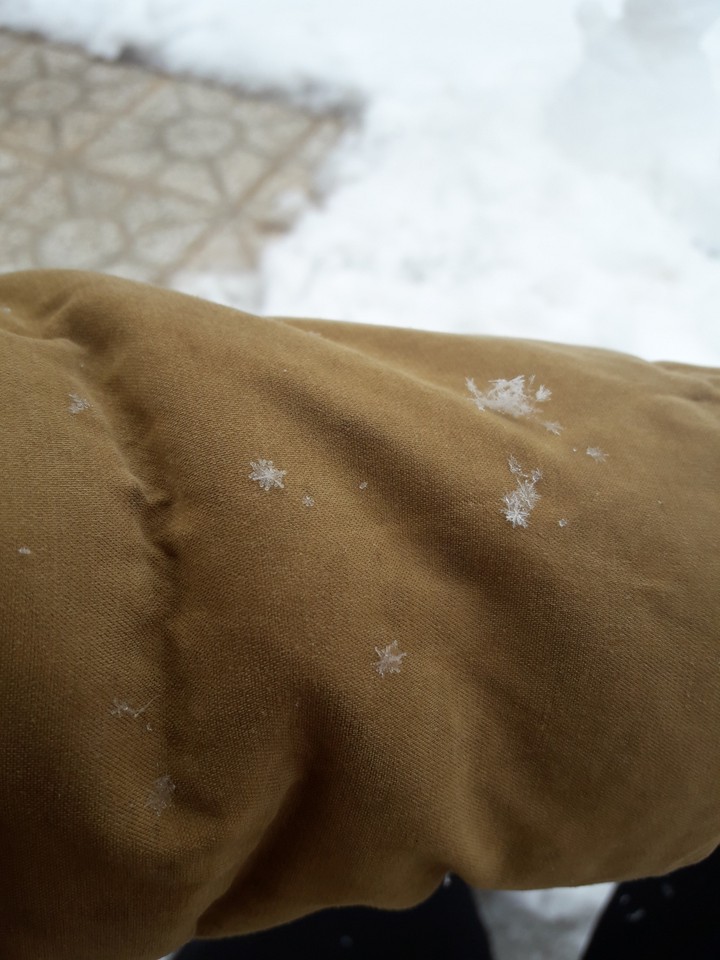 snowday
