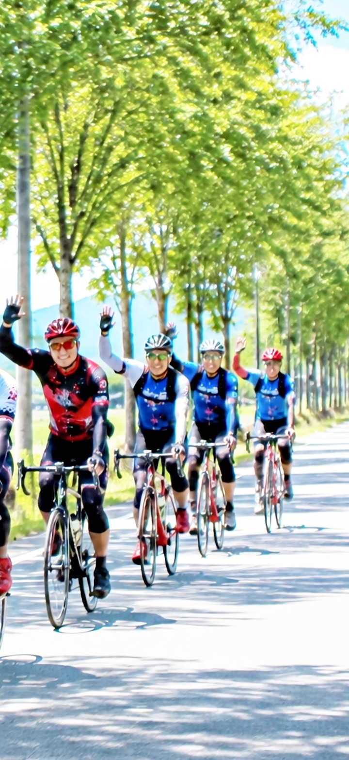 fondos de pantalla bycycle, bicycle