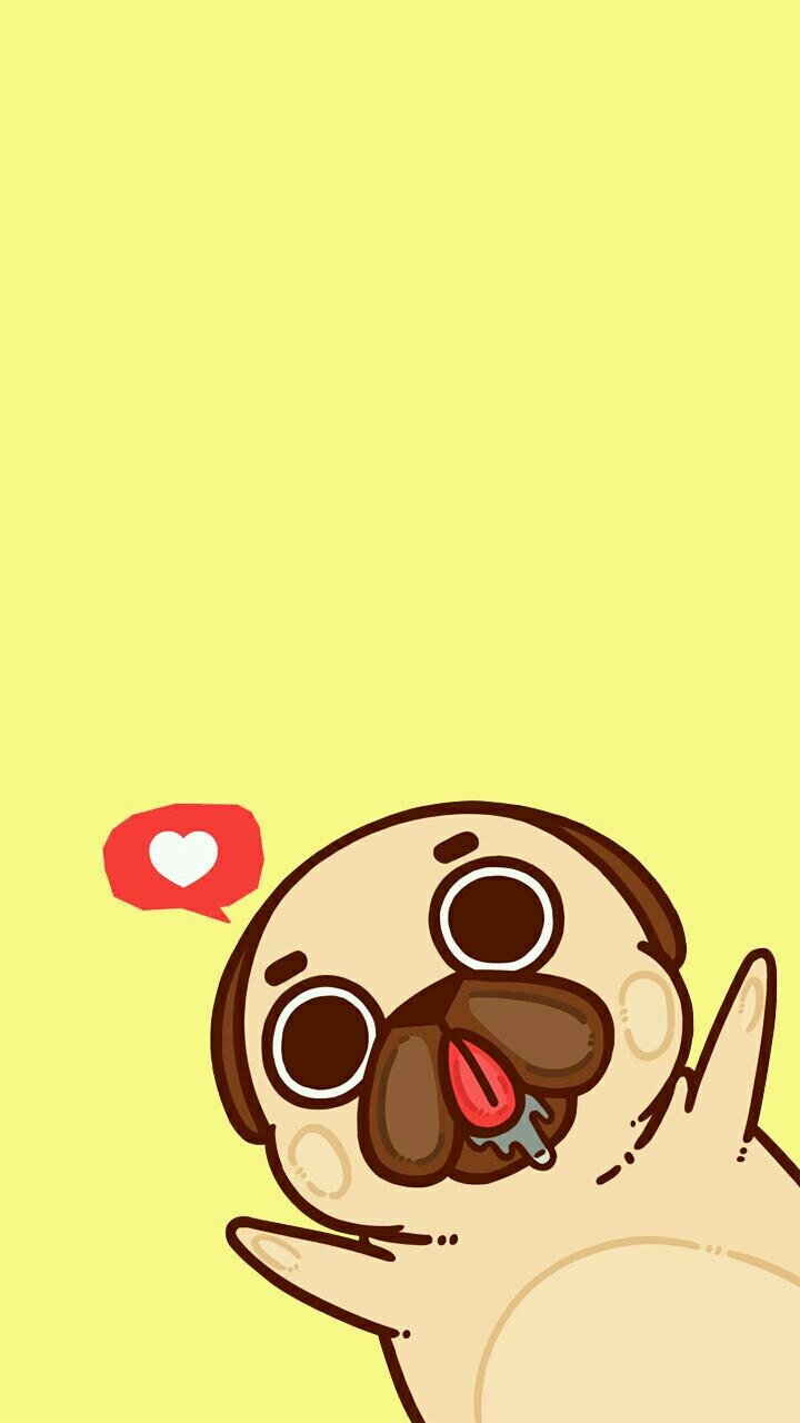 little dog...