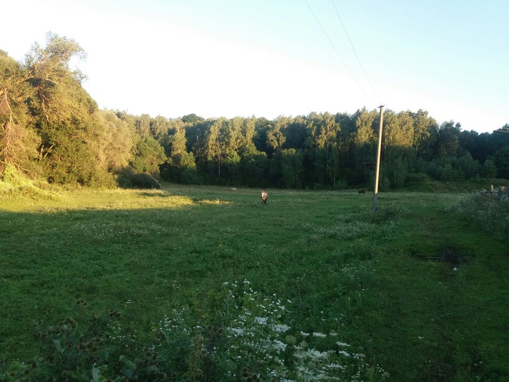 nature