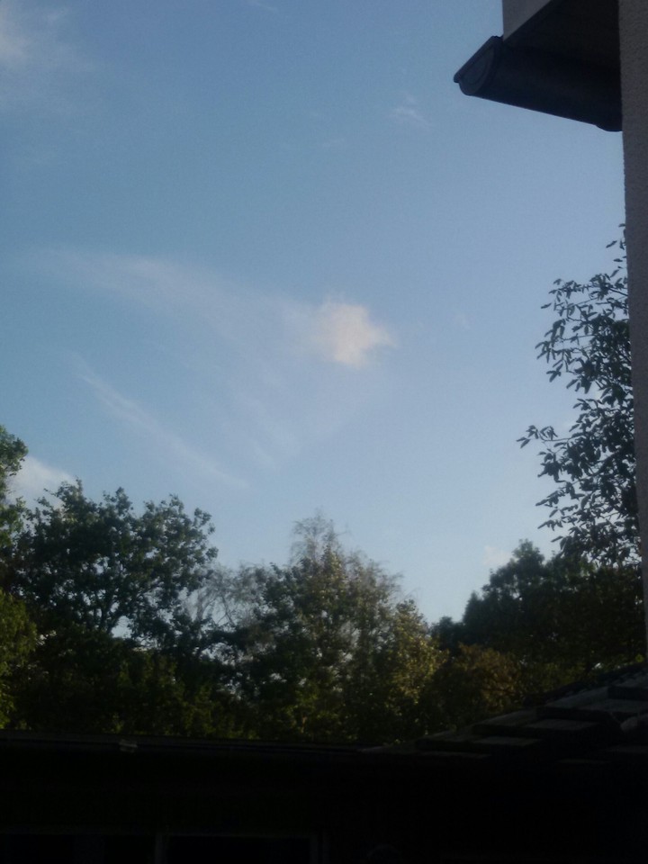 Restsonne