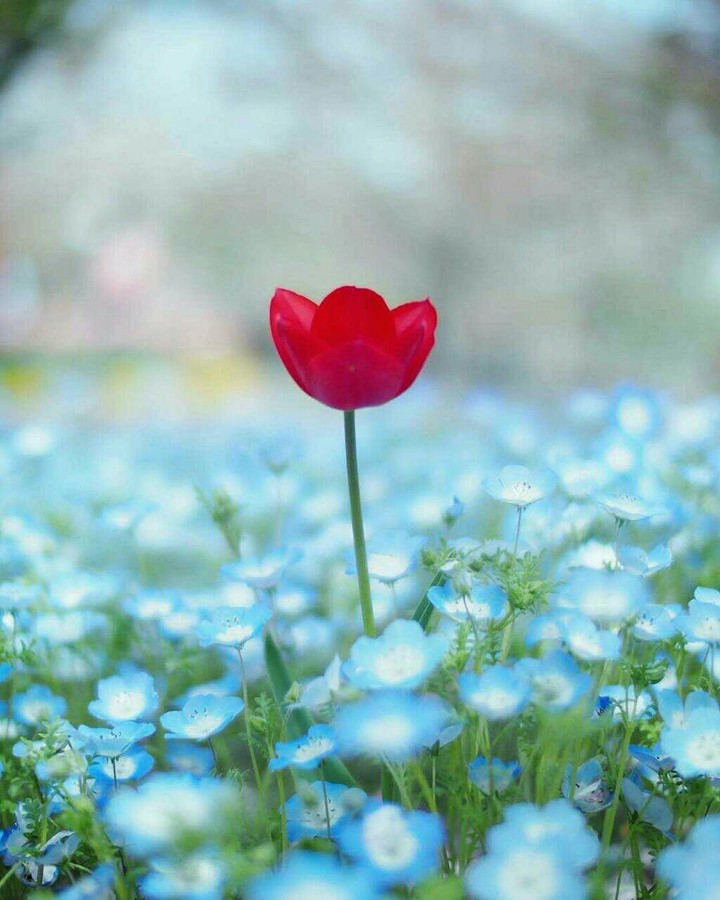 ❤❤❤