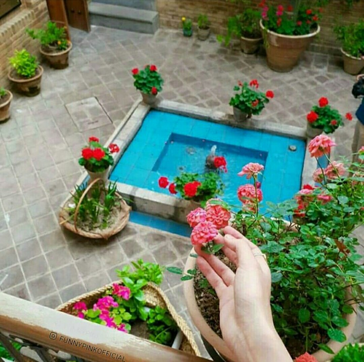 خانه