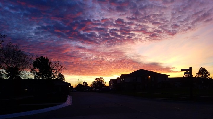 Absolute Beauty