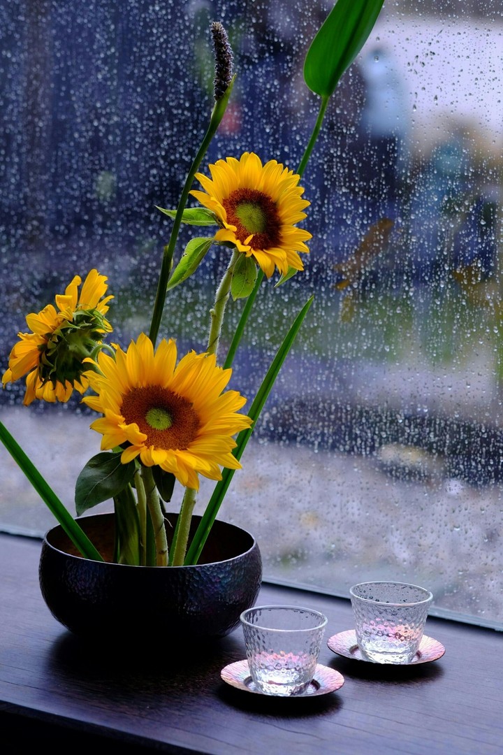 amo estas flores