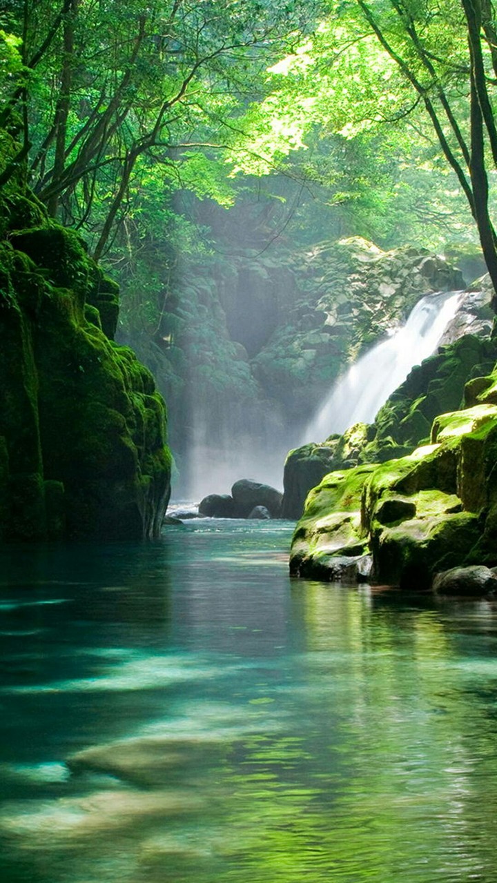 awesome nature