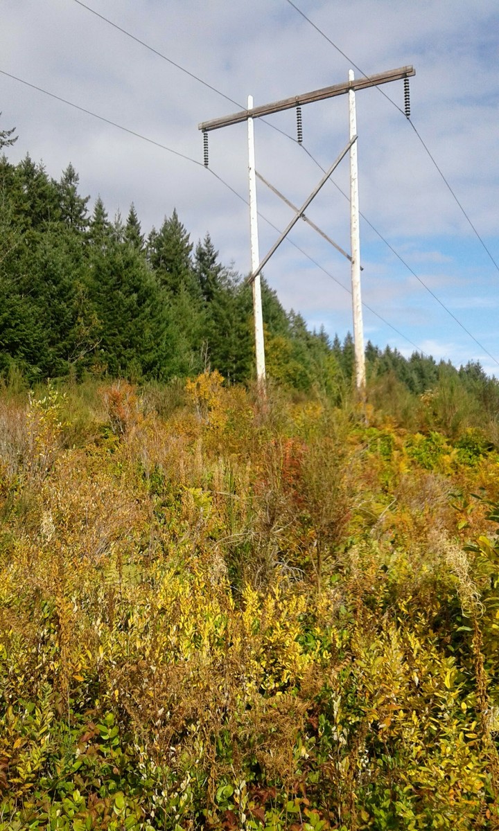 Hiking the powerlines
