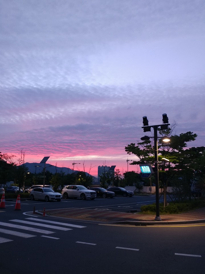 붉은하늘