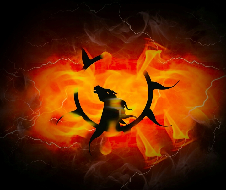 fire horse