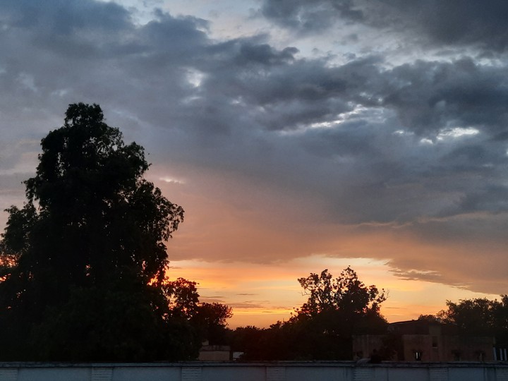 evenings