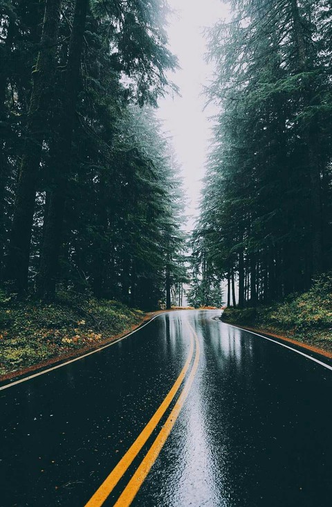 _ - Road -_