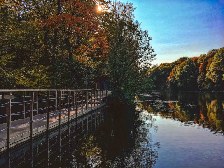 autumn