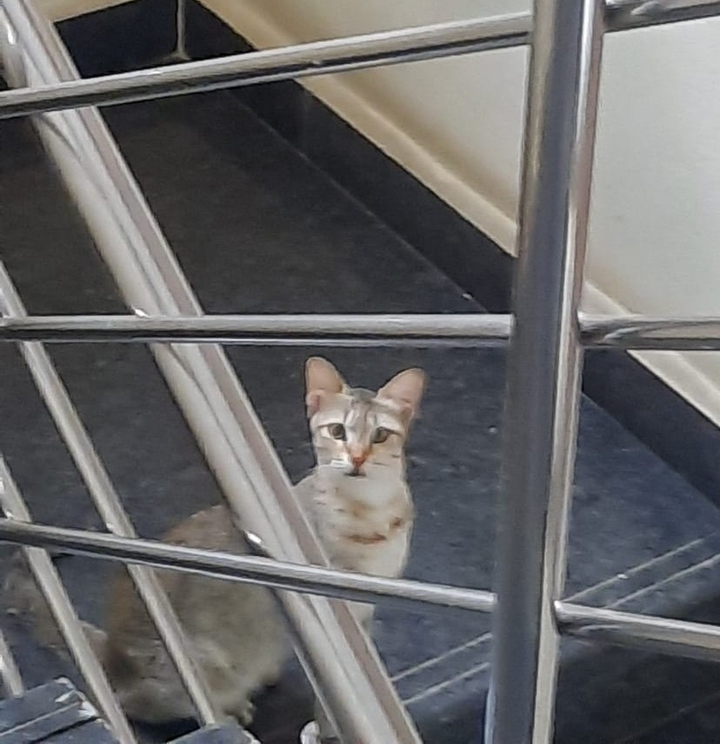 curious