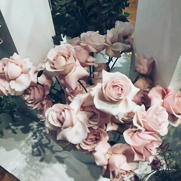 ~Roze~