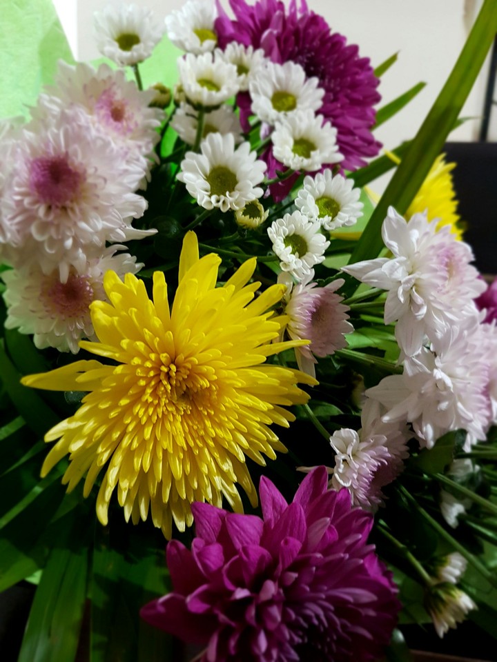 flowers