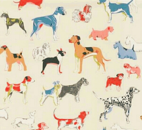 dogs