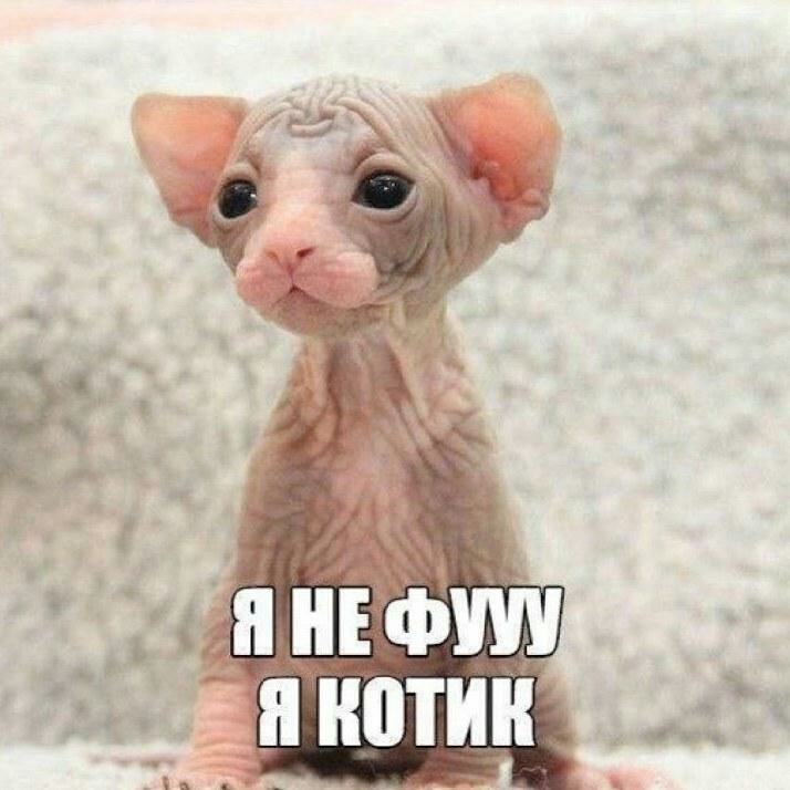 няха