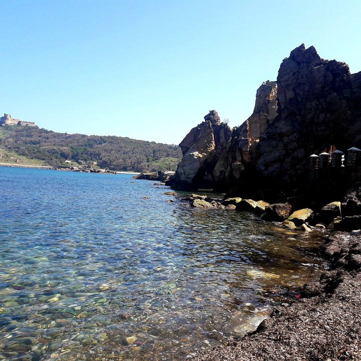 paradise