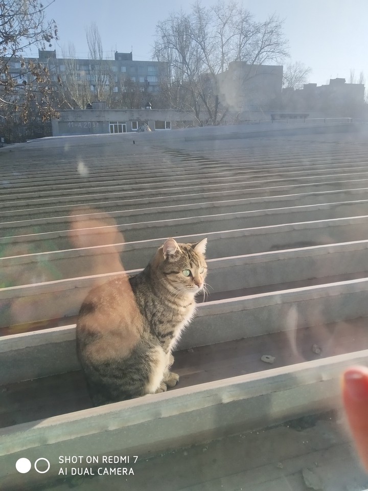 mrrrr