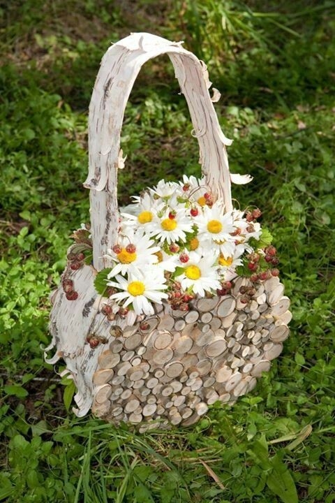 stokrotki