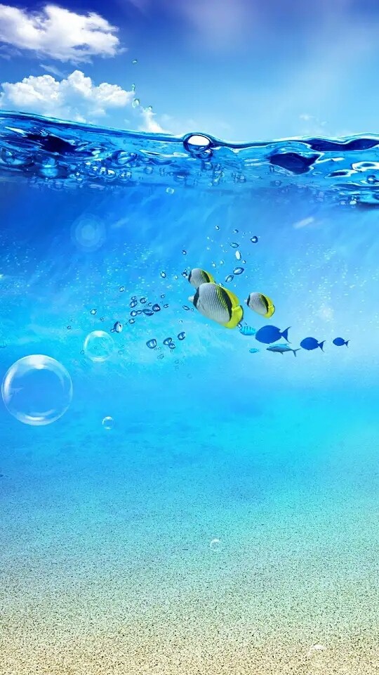 Sea