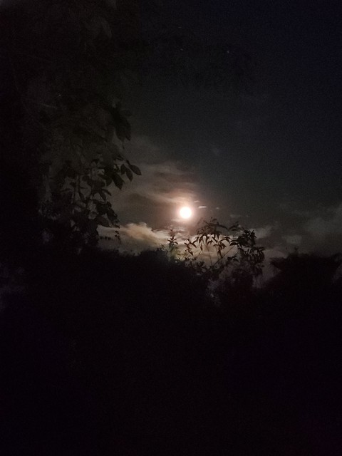 Moon