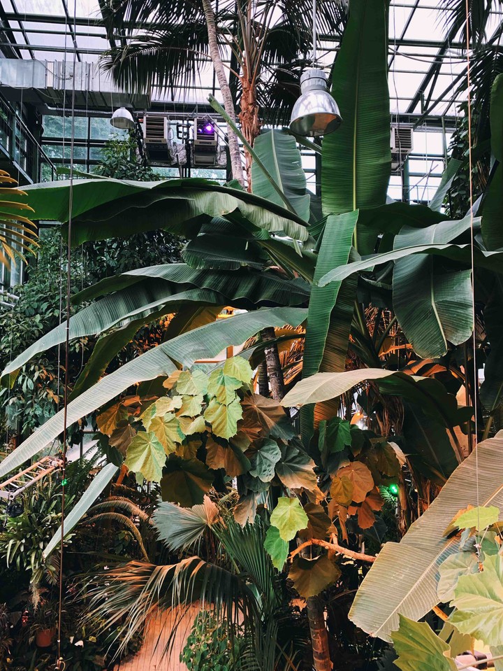 arboretum