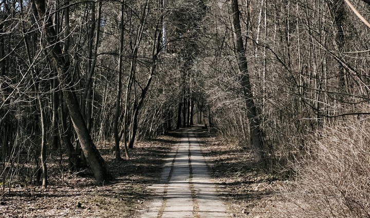 park