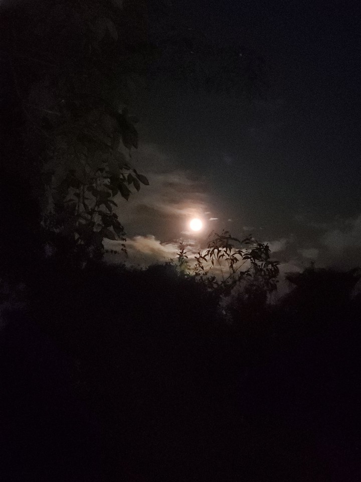 Moon