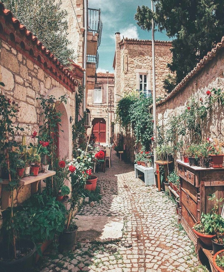 Rosas