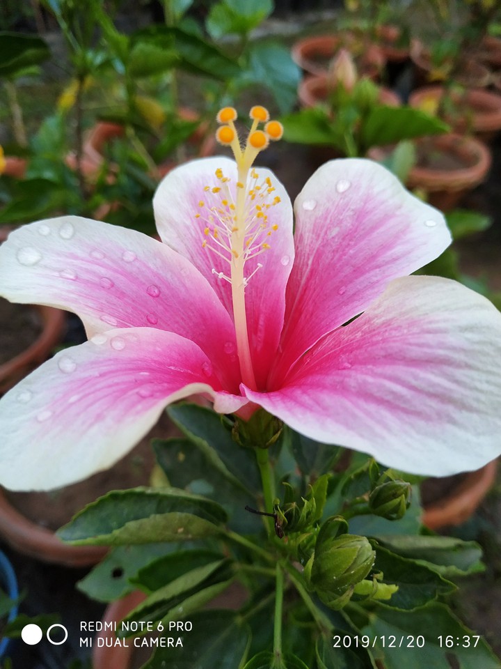 nursery