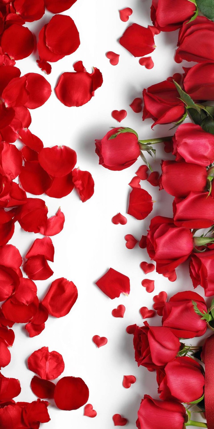valentine day