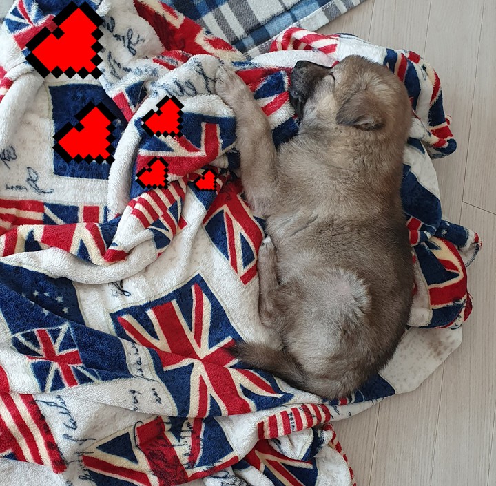 편안함~♡
