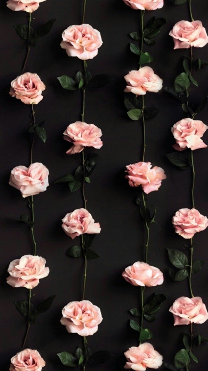 rosas
