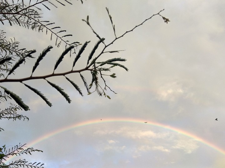 Awesome Rainbow
