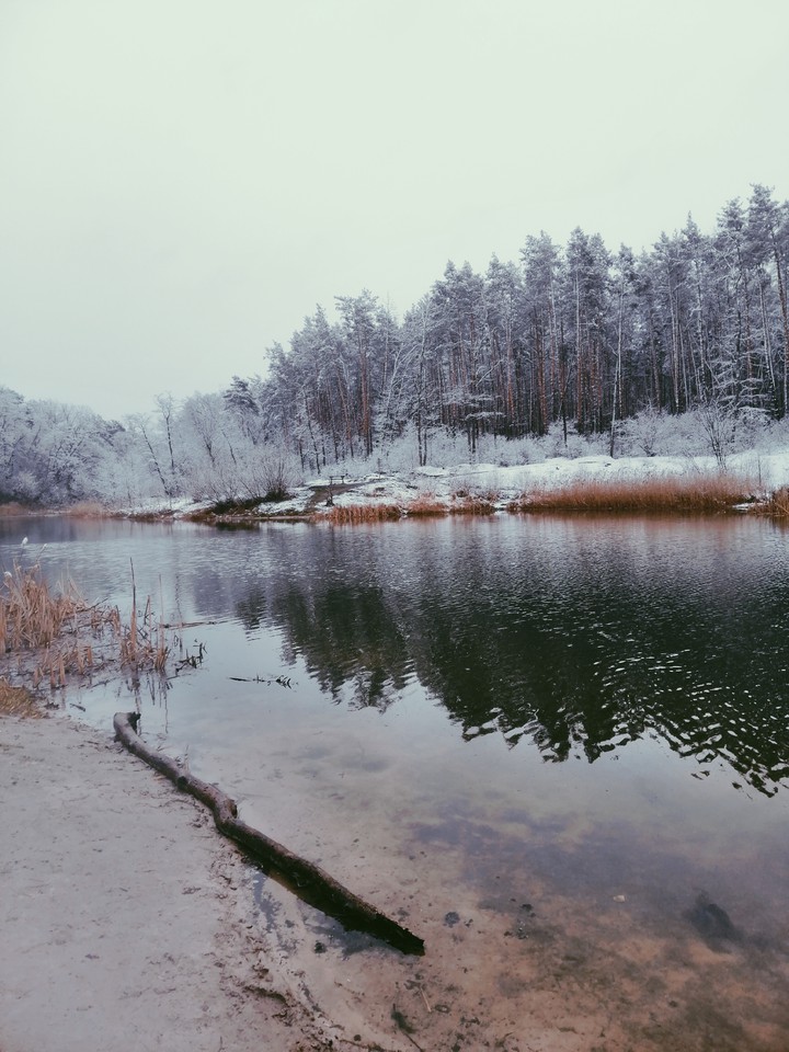 Nature